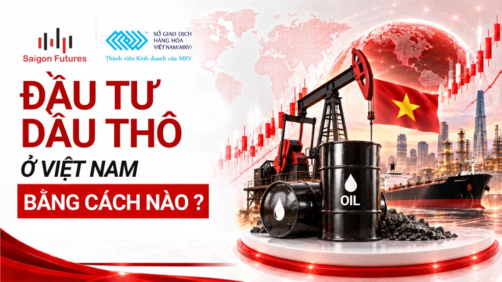Đầu tư dầu thô ở Việt Nam bằng cách nào ?