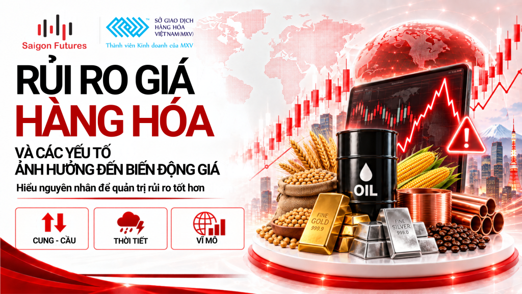 Rủi ro giá hàng hóa và các yếu tố ảnh hưởng đến biến động giá